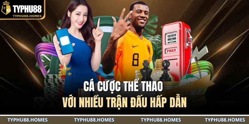 Cá cược thể thao với nhiều trận đấu hấp dẫn